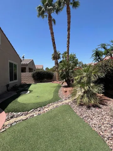 Low Maintenance Yard