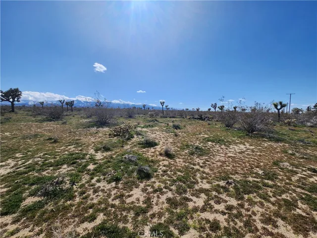 0 Begonia Road, Phelan, California 92371