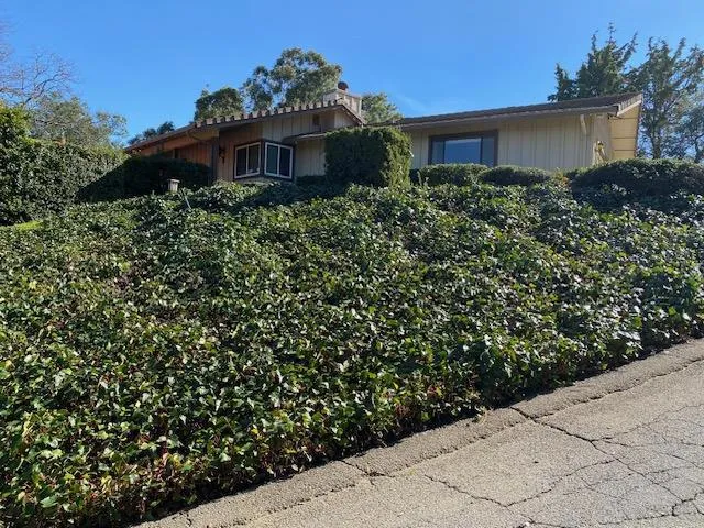 18360 Bicknell Road, Monte Sereno, California 95030