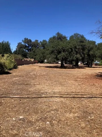 Center view of the property to show the depth.