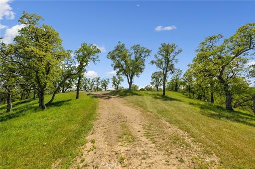 21735 Hidy Way, Red Bluff, California 96080