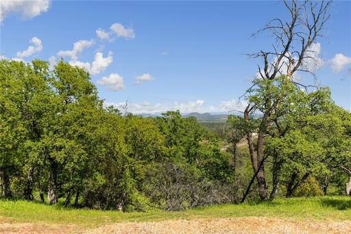 21735 Hidy Way, Red Bluff, California 96080