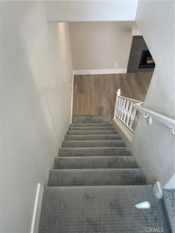 New Carpet