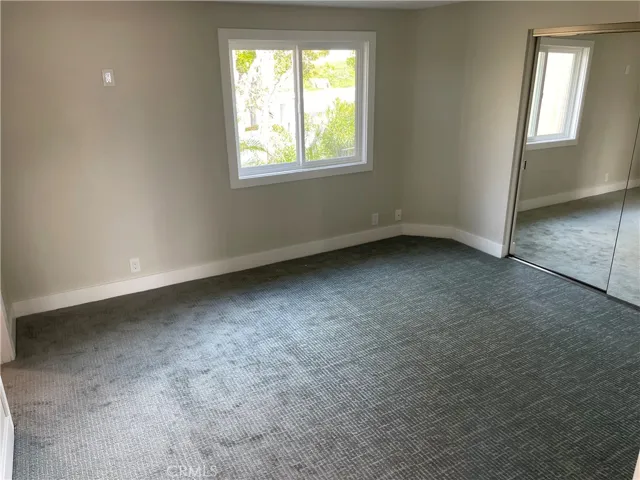 New Carpet
