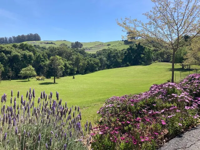 590 Payne Road, San Juan Bautista, California 95045