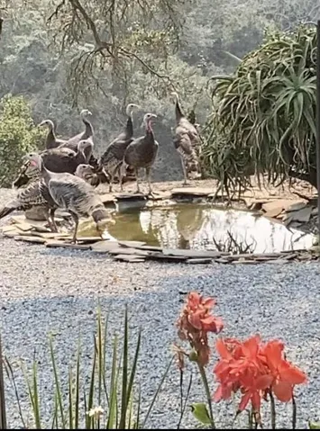 590 Payne Road, San Juan Bautista, California 95045
