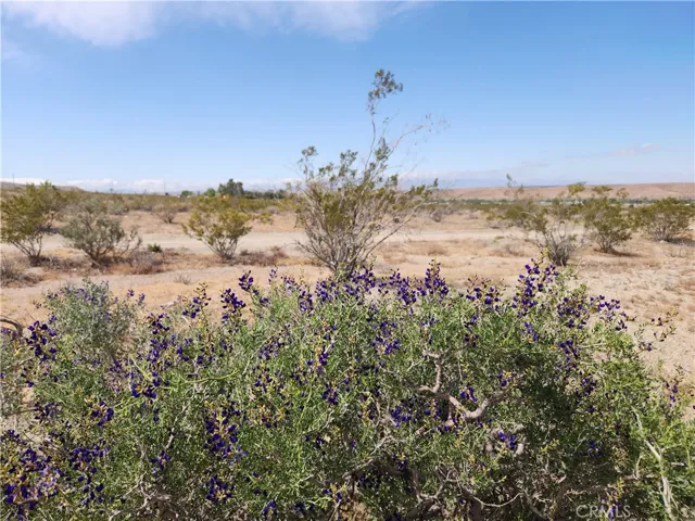 5 Ac On Silver Mtn Road, Oro Grande, California 92368
