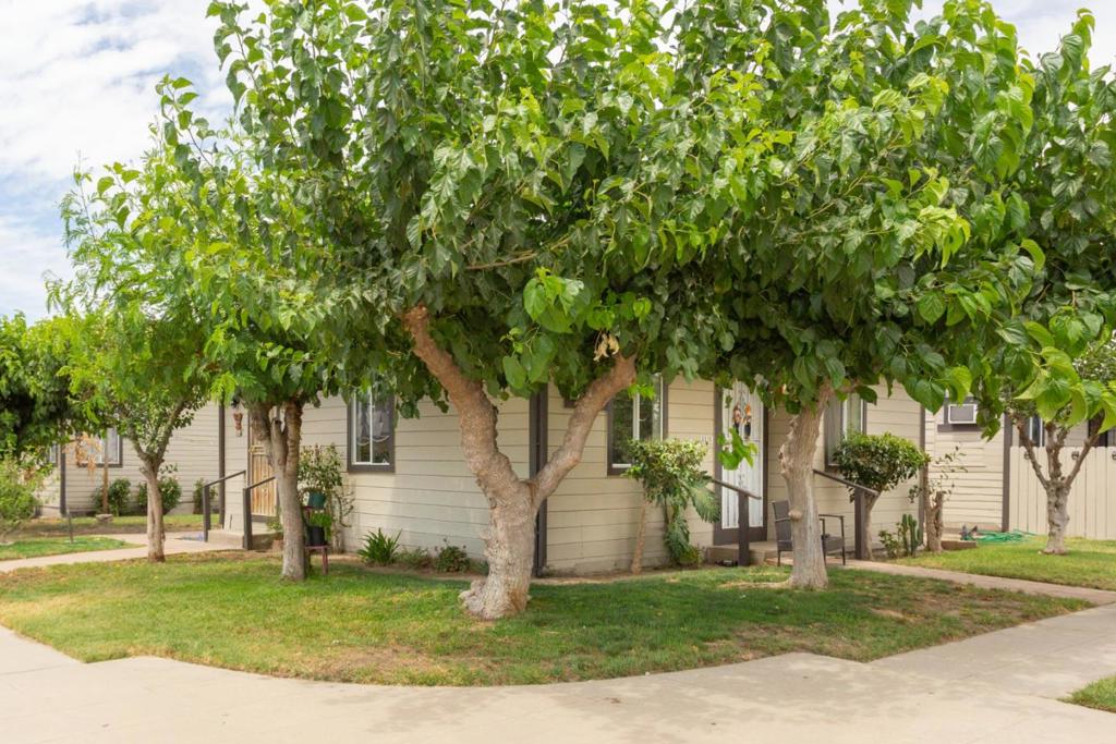 3468 S Frank Avenue, Fresno, California 93725 home-pic-10