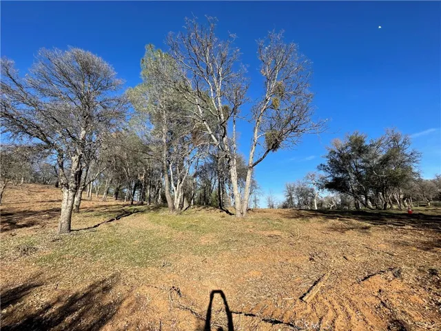 0 Foran, Mariposa, California 95338