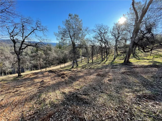 0 Foran, Mariposa, California 95338