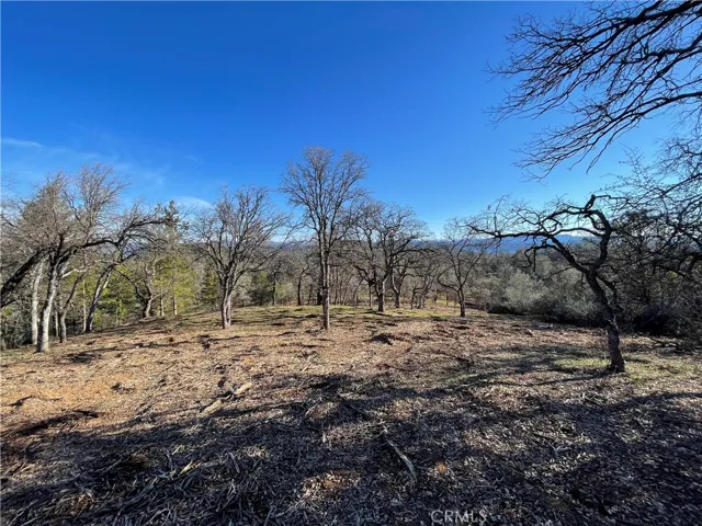0 Foran, Mariposa, California 95338