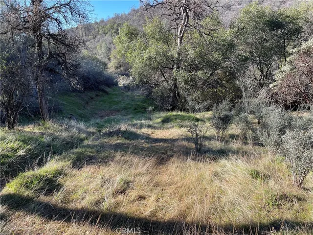 0 Foran, Mariposa, California 95338
