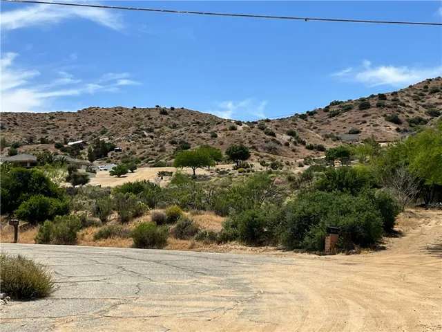 49440 Conejo Road, Morongo Valley, California 92256
