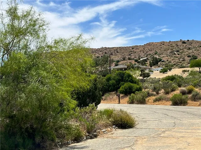 49440 Conejo Road, Morongo Valley, California 92256