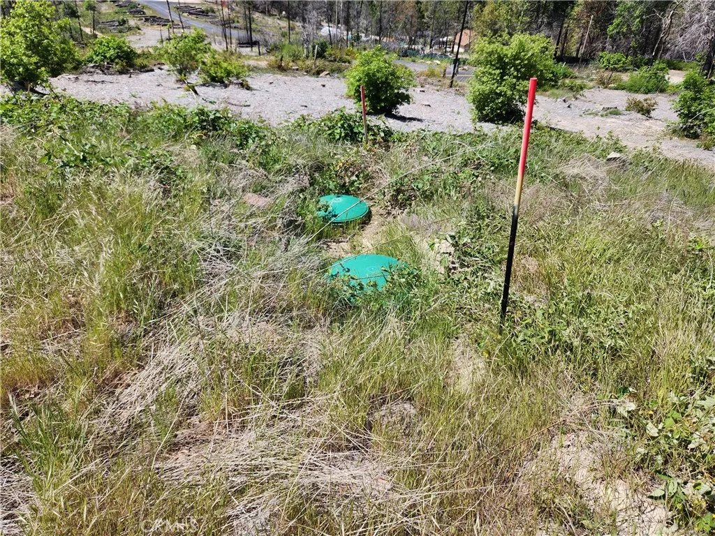 Septic Tank
