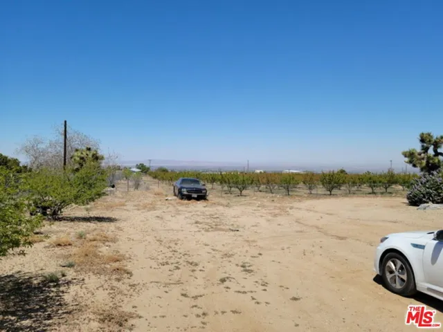 8630 Sheep Creek Road, Phelan, California 92371