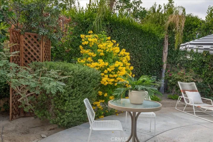 The back yard is completely hedged adding privacy and easy on the eyes greenery.