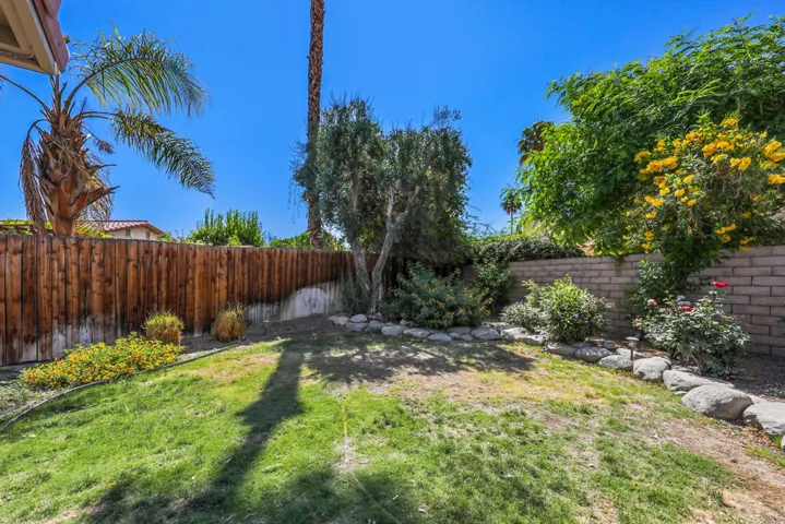 Sagewood40480#31