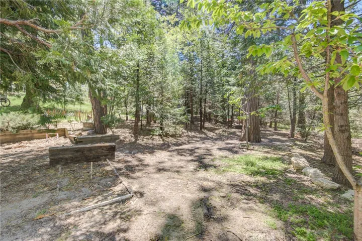 The greenbelt around the house.