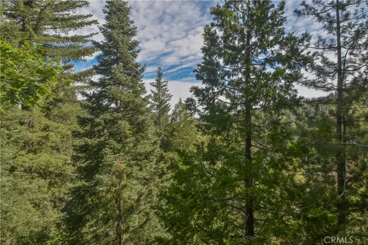 26838 Huron Road, Lake Arrowhead, California 92352
