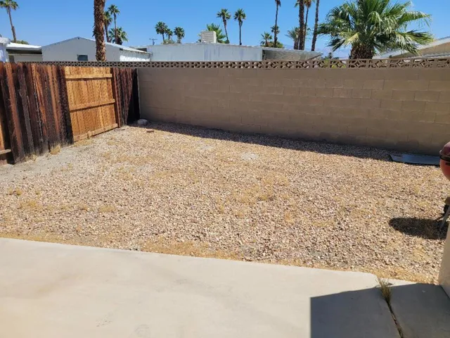 back yard