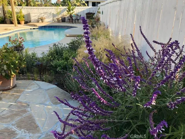4421 Camela Street, Yorba Linda, California 92886