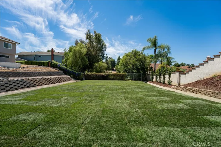 Brand new sod and landscaping. It's like having your own park!