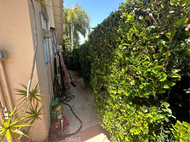 Side Yard 1