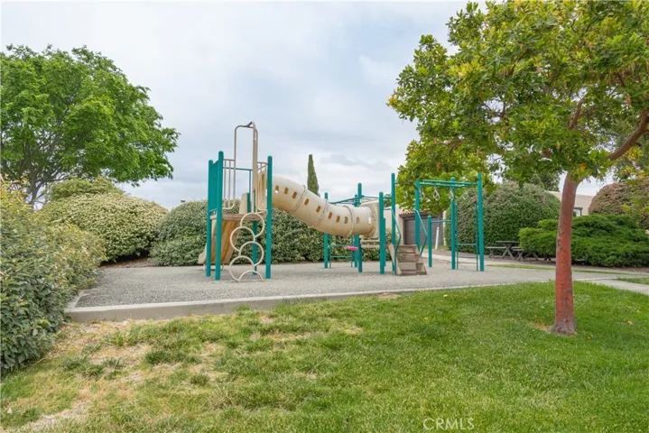 Community Play Structure