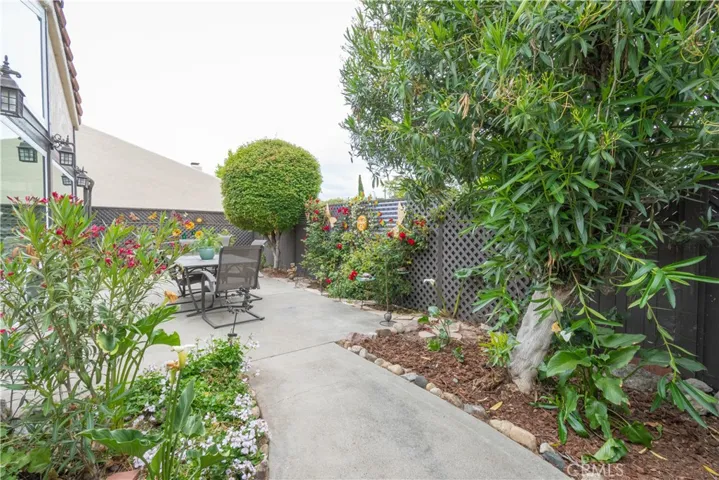 Backyard different view