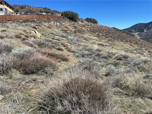 Showing one side of the pie shaped lot.