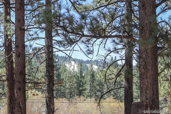 42516 Sonoma Dr, Big Bear, California 92315