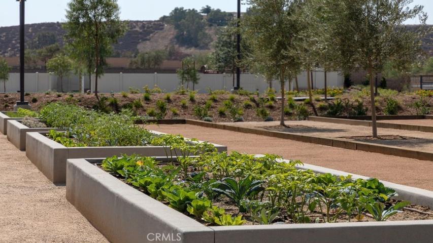 The Esplanade at Sommers Bend Community!