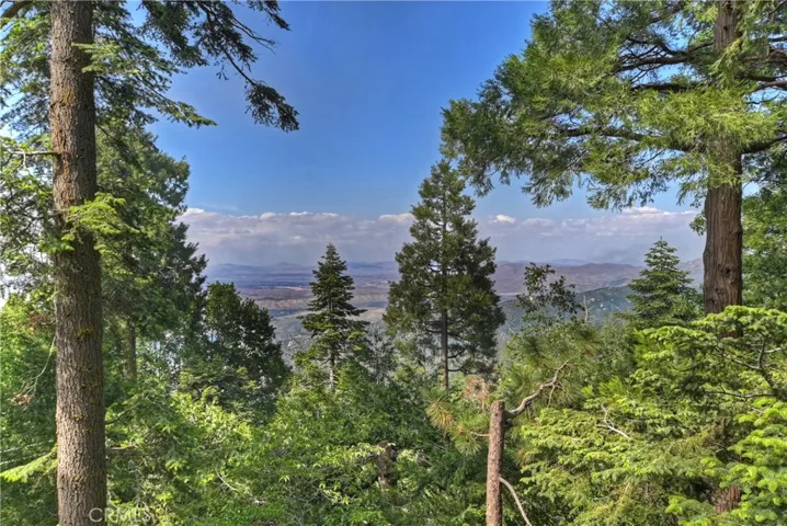 21575 Lakeland View, Cedarpines Park, California 92322