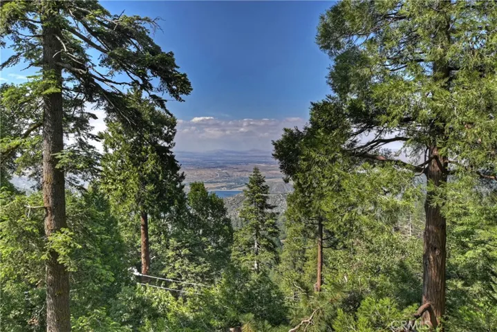 21575 Lakeland View, Cedarpines Park, California 92322