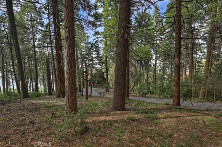 21575 Lakeland View, Cedarpines Park, California 92322