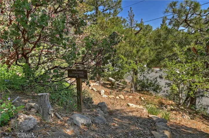Mini Nature Trail In Back!