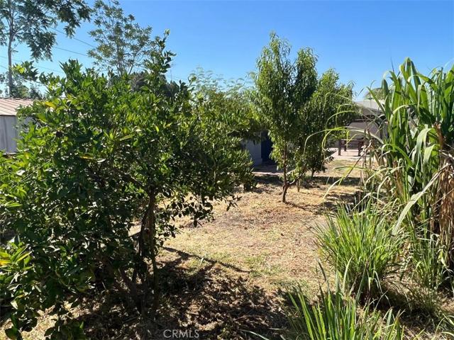 25572 Jane Street, San Bernardino, California 92404