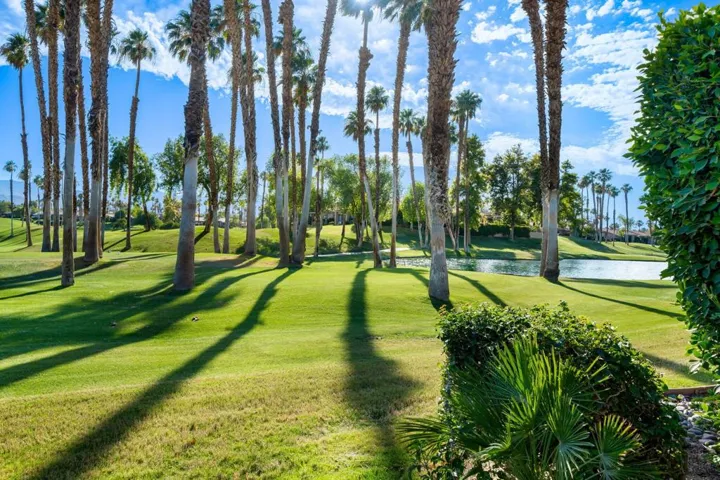 33-web-or-mls-PHPalmValley_2023_033
