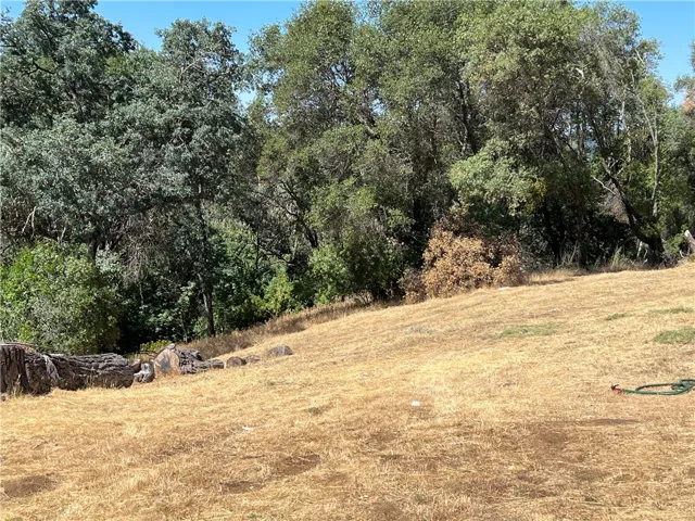 5444 Darrah Road, Mariposa, California 95338