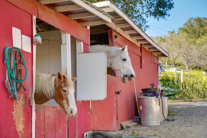 22200 Mount Eden Road, Saratoga, California 95070