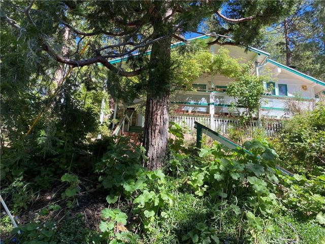 2473 Fir Drive, Arrowbear, California 92382