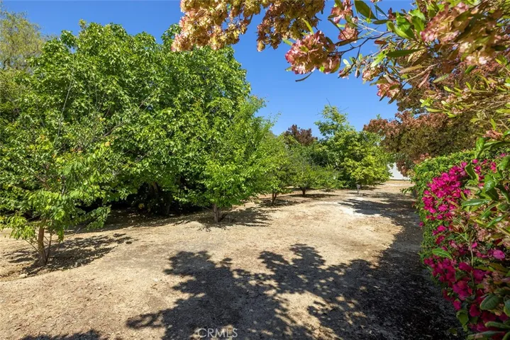 4090 Live Oak Lane, Yorba Linda, California 92886