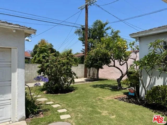 Backyard with white peach, lemon and persimmon trees