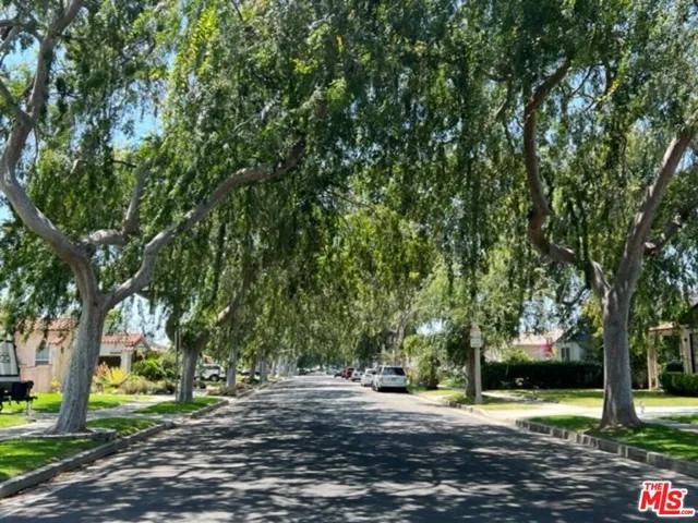 Beautiful tree lined street