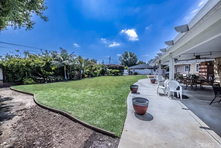 Backyard/ Patio