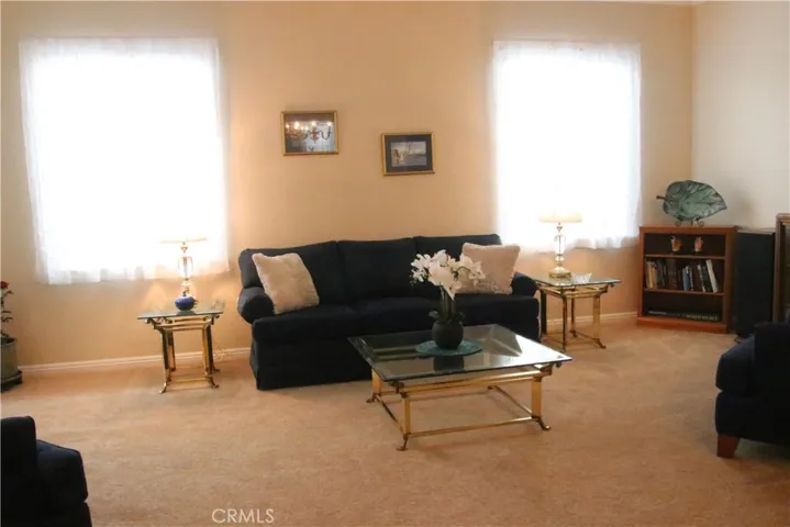 New Carpet