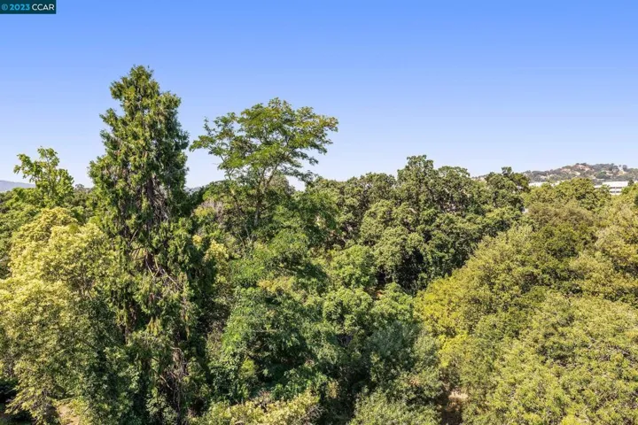 1665 Carmel Dr, Walnut Creek, California 94596