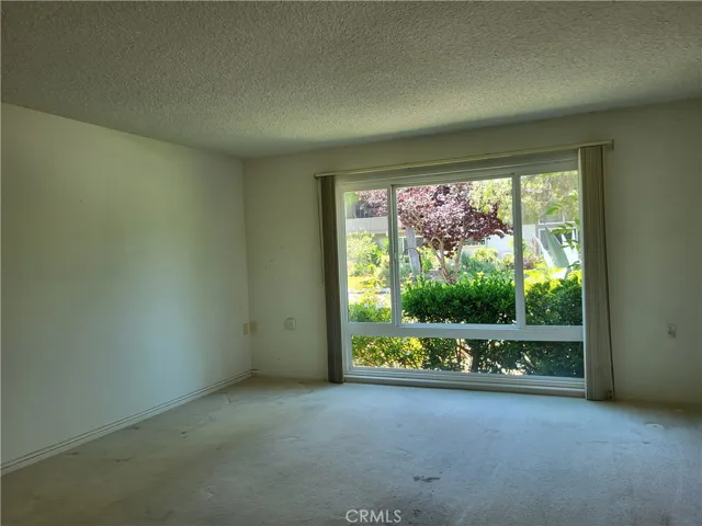 living room will be professionally cleaned