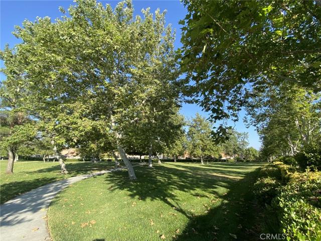Community Park